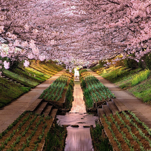 Hd-142081-ascw142081