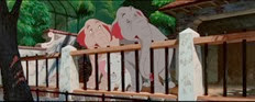 11 zoo éléphants