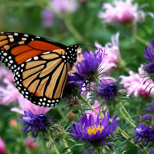 Hd-142571-ascw142571