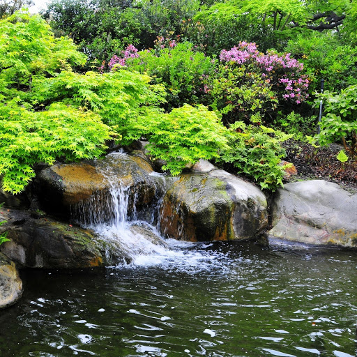 Hd-150382-ascw150382