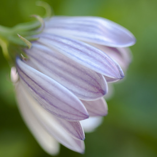 Hd-152186-ascw152186