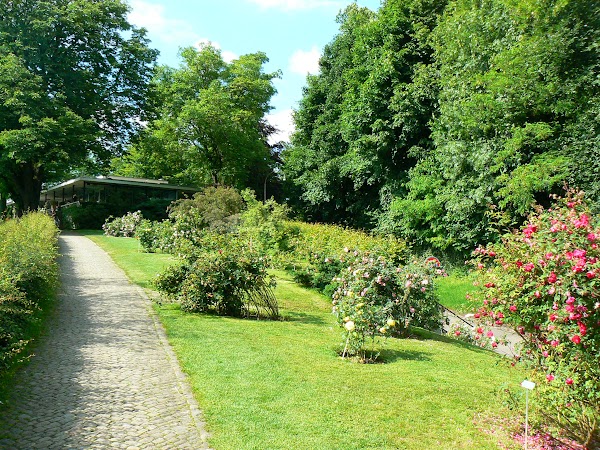 Obiective turistice Elvetia: Rosengarten.JPG