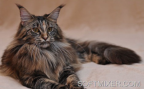 [dq_10m%255B9%255D.jpg]