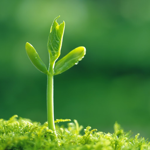 Hd-155059-ascw155059