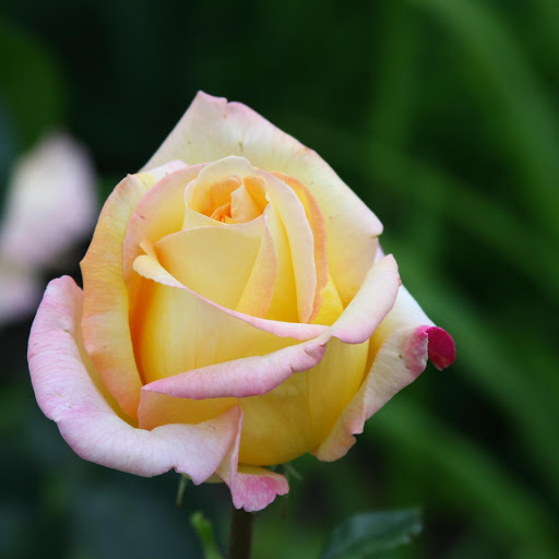 Hd-177637-ascw177637