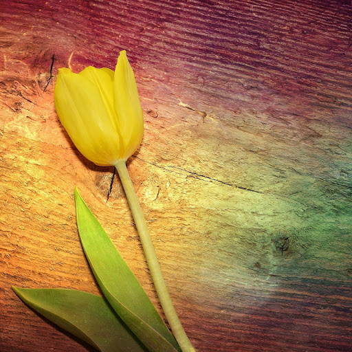 Hd-186278-ascw186278