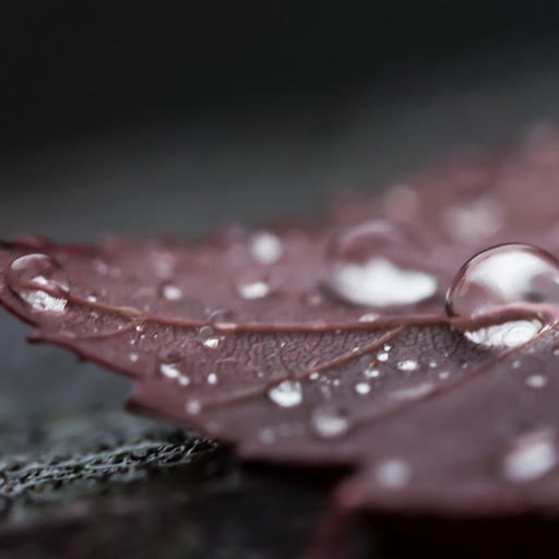 Hd-162014-ascw162014