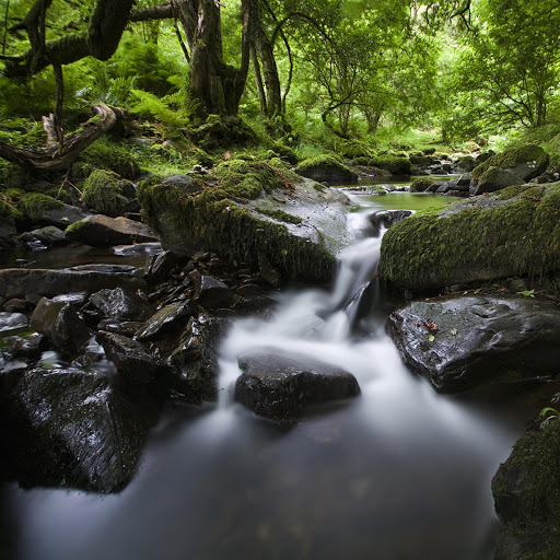 Hd-145112-ascw145112