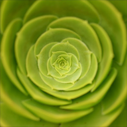 Hd-176146-ascw176146