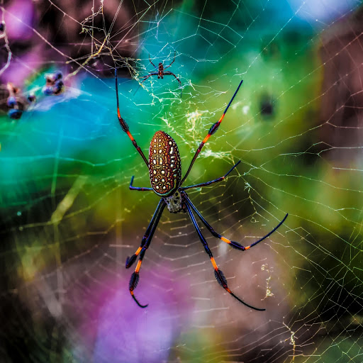 Hd-186196-ascw186196