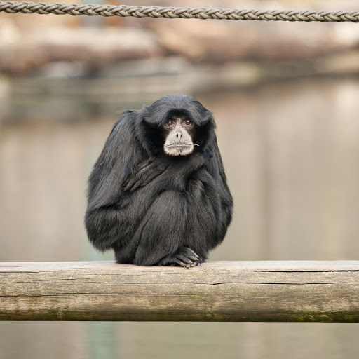 Hd-137456-ascw137456