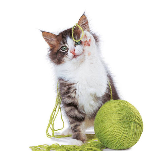 Hd-182602-ascw182602