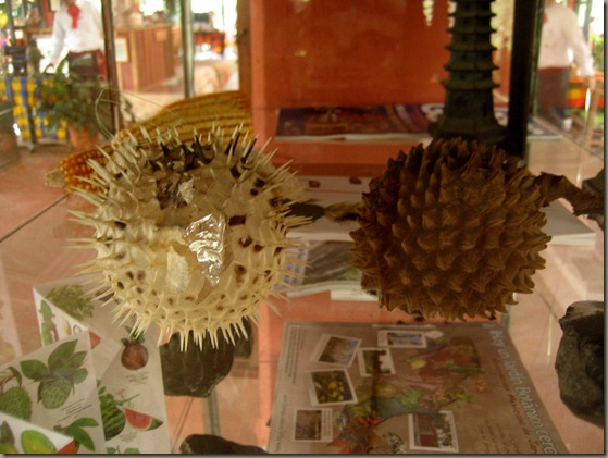Juxtaposition of spiky spheroids