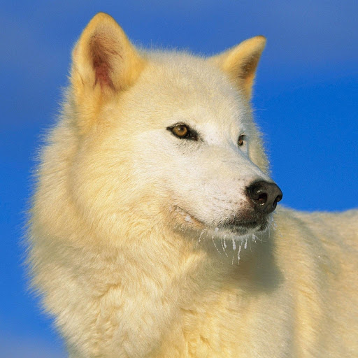 Hd-182234-ascw182234