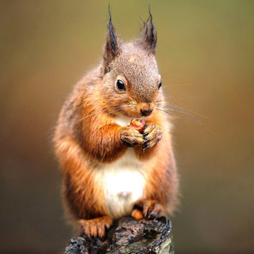 Hd-147518-ascw147518