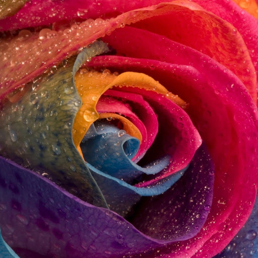 Hd-171757-ascw171757