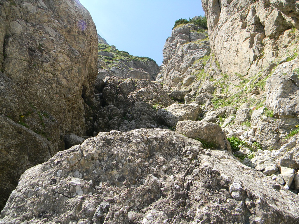 [DSCN32883.jpg]