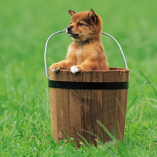 Hd-146532-ascw146532