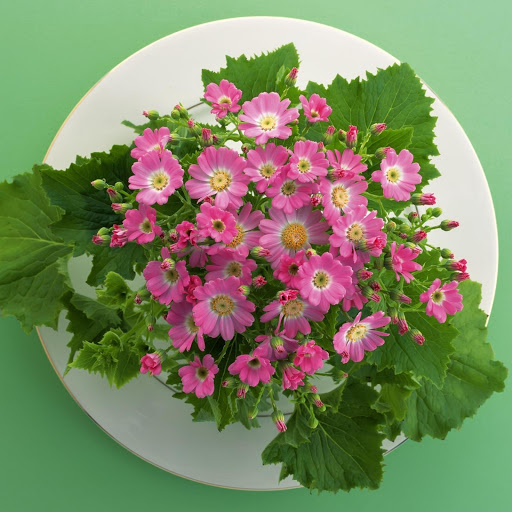 Hd-143583-ascw143583