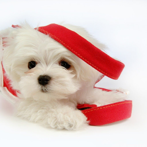 Hd-149959-ascw149959