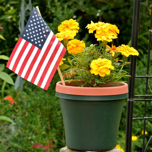 Hd-156082-ascw156082