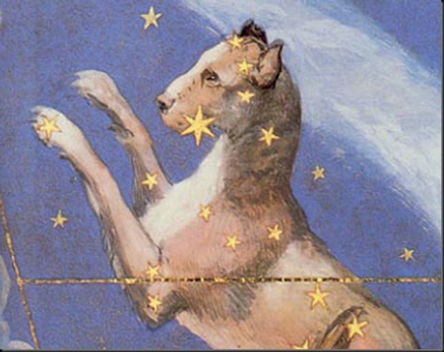 canis major 1