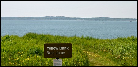 2 - Yellow Bank on the Liberty Beach Drive