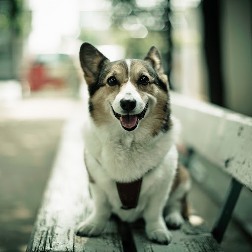 Hd-182629-ascw182629