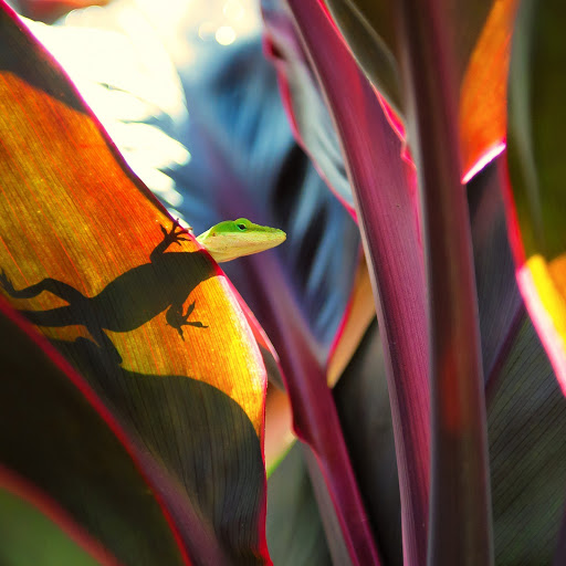 Hd-174530-ascw174530