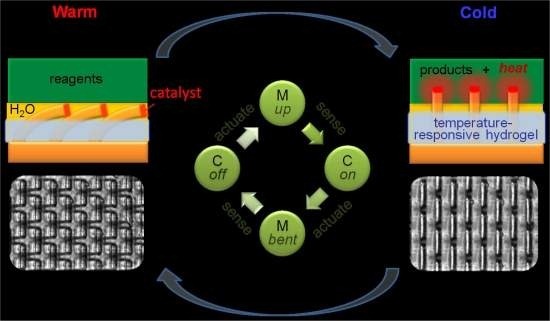 Materiais inteligentes imitam capacidade biológica de autorregulação