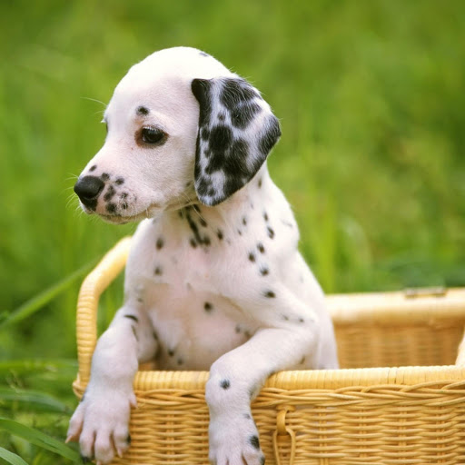 Hd-175878-ascw175878