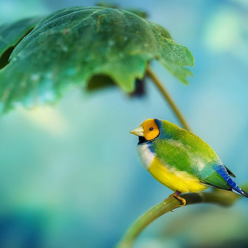 Hd-164924-ascw164924