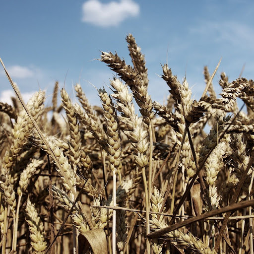 Hd-156537-ascw156537