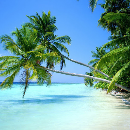 Hd-136870-ascw136870