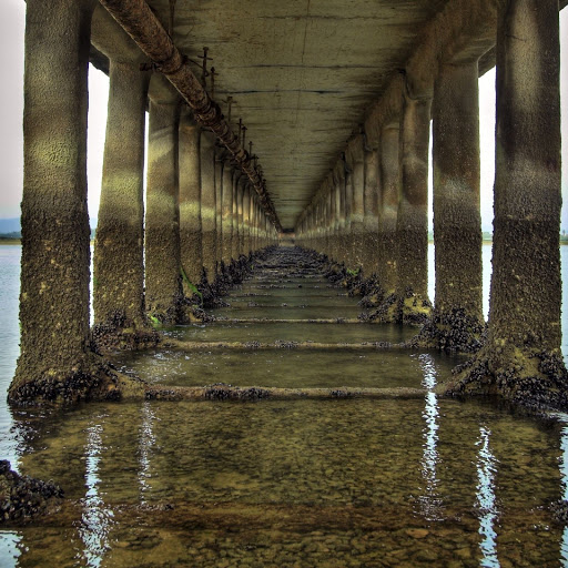 Hd-141302-ascw141302