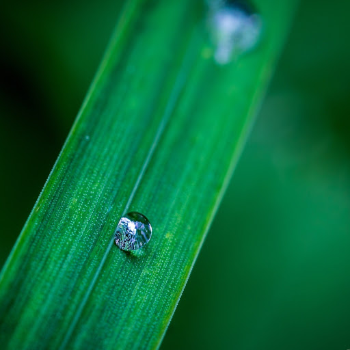 Hd-153504-ascw153504