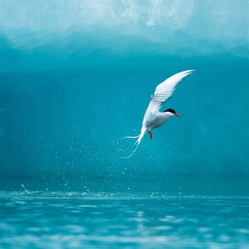 Hd-147256-ascw147256