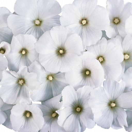 Hd-148733-ascw148733