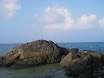 Austr_336_09.11.2007.JPG