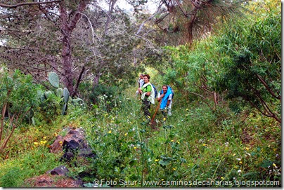 7986 Circular a Firgas R3-Acequia Real 7986 Circular a Firgas R3-Acequia Real