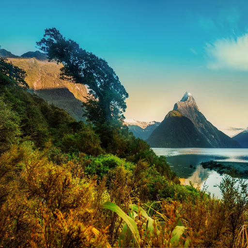 Hd-184481-ascw184481