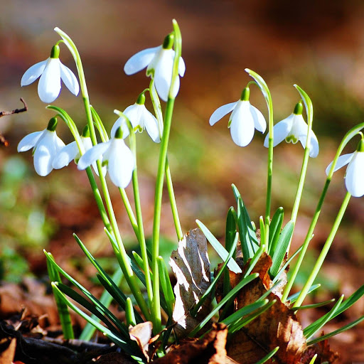 Hd-159951-ascw159951