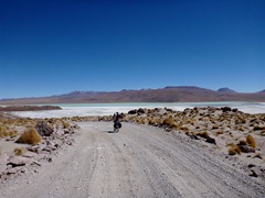 Salar Capina, Southwestern Bolivia.