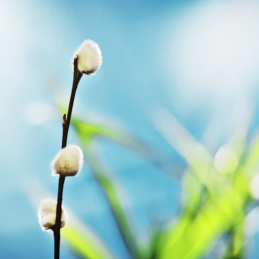 Hd-143396-ascw143396