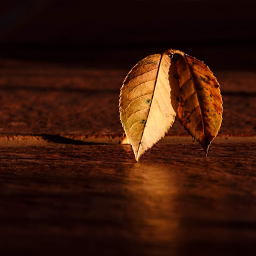 Hd-151333-ascw151333