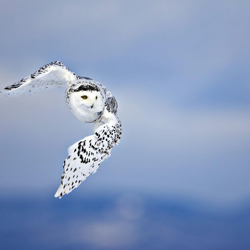 Hd-179074-ascw179074