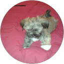 Image Google de arlette Berenger