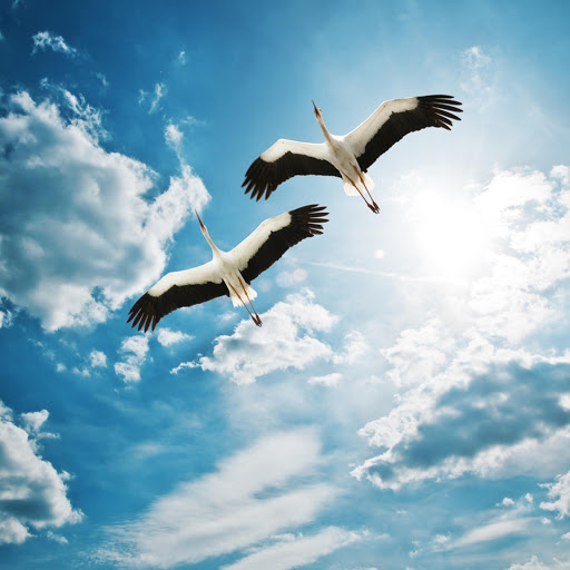 Hd-147033-ascw147033