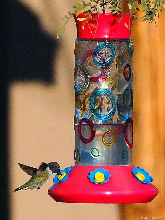 [DSC_0445%255B4%255D.jpg]