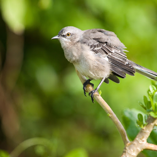 Hd-174431-ascw174431